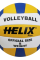 Helix Rise Voleybol Topu
