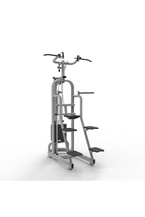 Vortex Assisted Chin Up/Dip