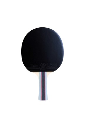 Helix Masa Tenisi Raketi Impression 3 Yıldız ITTF Onaylı