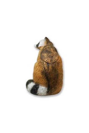 Pars 3D Hedef Raccoon