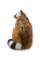 Pars 3D Hedef Raccoon