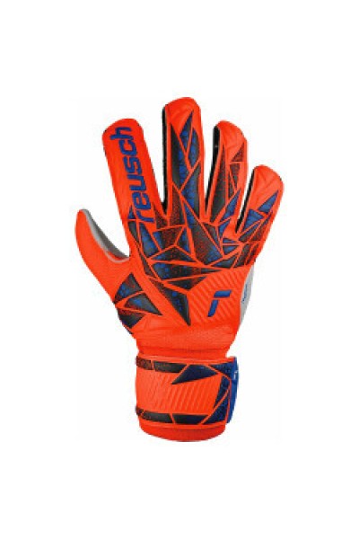 Reusch Kaleci Eldiveni Attrakt Solid 5470515-2210