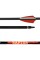 Ases Karbon Ok Raptor