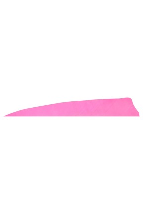 Gateway Naturel Tüy Shield 4.0"