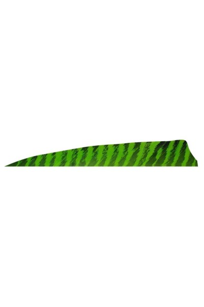Gateway Naturel Tüy Shield Barred 4.0