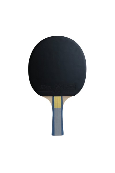 Helix Masa Tenisi Raketi Hunter 4 Yıldız ITTF Onaylı