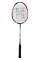 Helix Storm Badminton Raket Seti