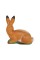 Pars 3D Hedef Rabbit