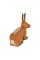 Pars 3D Hedef Rabbit