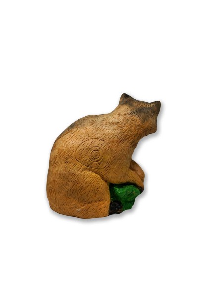 Pars 3D Hedef Raccoon