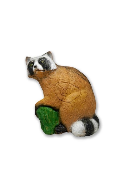 Pars 3D Hedef Raccoon