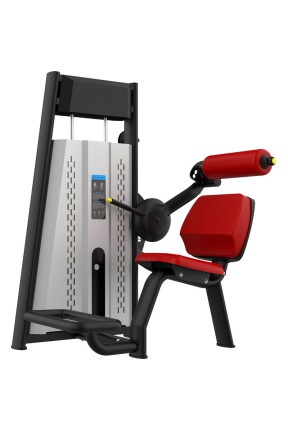 Raptor Back Extension TZ-A6006