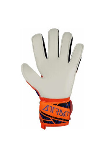 Reusch Kaleci Eldiveni Attrakt Solid 5470515-2210