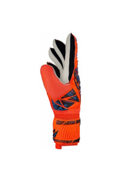 Reusch Kaleci Eldiveni Attrakt Starter Grip 5470814-2210
