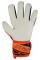 Reusch Kaleci Eldiveni Attrakt Starter Grip 5470814-2210