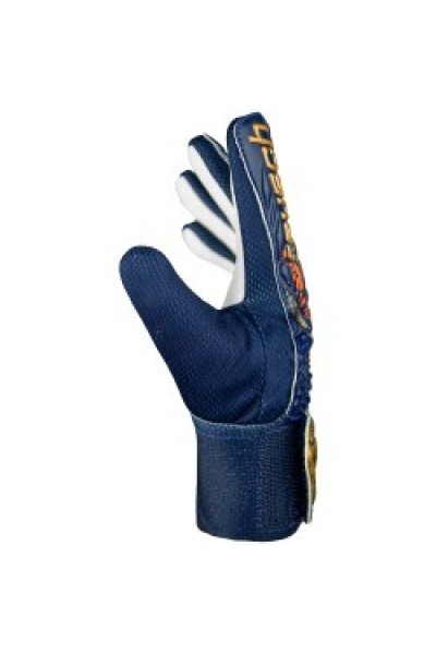 Reusch Kaleci Eldiveni Attrakt Starter Grip 5470814-4410