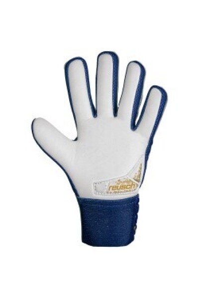 Reusch Kaleci Eldiveni Attrakt Starter Grip 5470814-4410