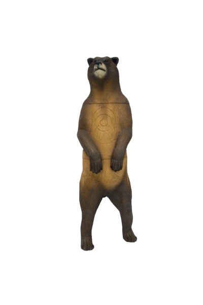 Srt 3D Hedef Grizzly Bear