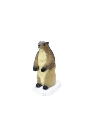Srt 3D Hedef Marmot