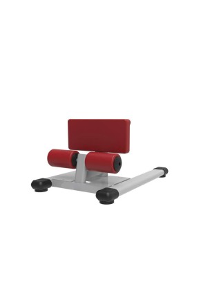 Vortex Sissy Squat Station TZ-6059