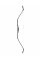 White Feather Horsebow Precious